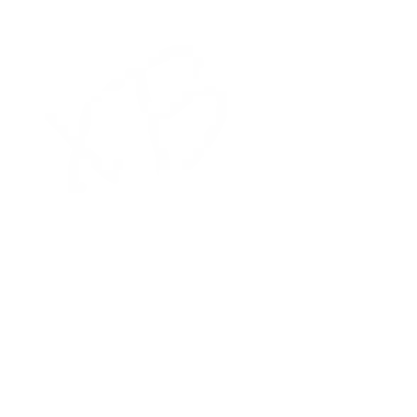 /view?path=/XBXT/Iconos/Mono.png&resolution=SD&quality=HIGH